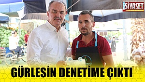 Gürlesin incelemelerde bulundu