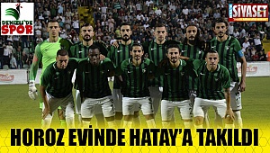 Horoz evinde Hatay'a takıldı