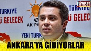 Merkezefendi büyük şölene hazır