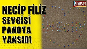 Necip Filiz sevgisi panoya yansıdı