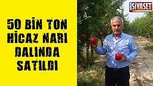 50 bin ton Hicaz Narı dalında satıldı 