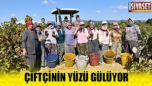 Çiftçinin yüzü gülüyor
