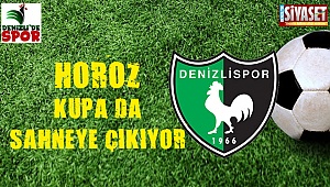 Horoz kupada sahneye çıkıyor