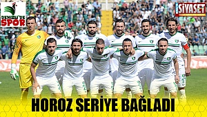 Horoz seriye bağladı