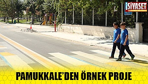 Pamukkale'den örnek proje