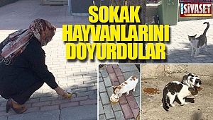 Sokak hayvanlarını doyurdular