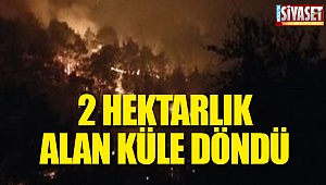 Yangının sebebi tespit edilemedi 