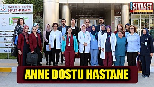 Anne dostu hastane