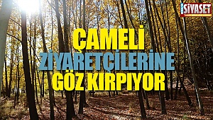 Çameli, ziyaretçilerine göz kırpıyor