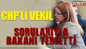 Karaca, sorularıyla bakanı terletti