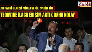 Şahin Tin; 