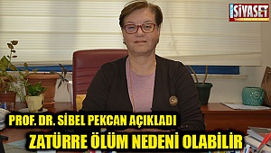 Zatürre Ölüm Nedeni Olabilir