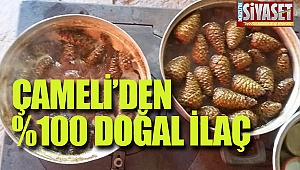  Çameli'deki ilacın Faydası Saymakla Bitmez