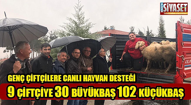 Genç çiftçilere canlı hayvan dağıtımı yapıldı