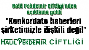 Halil Pekdemir: İşimizin başındayız