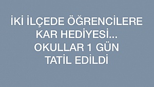 Okullar tatil edildi