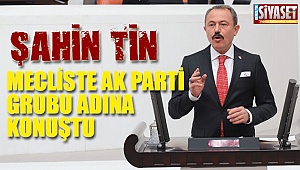 Tin, mecliste AK Parti grubu adına konuştu