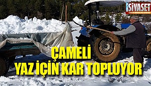 Çameli yaz için kar topluyor