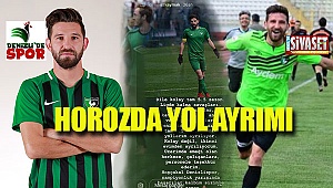 Horoz'da yol ayrımı