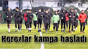 Horozlar devre arası kampına başladı