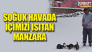 Soğuk havada içimizi ısıtan manzara