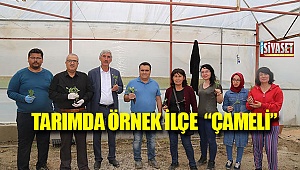 Tarımda örnek ilçe 