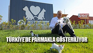 Türkiye'de parmakla gösteriliyor