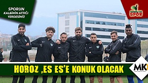 Horoz, Es Es'e konuk olacak