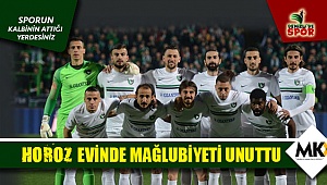 Horoz evinde mağlubiyeti unuttu