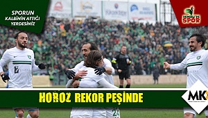 Horoz rekor peşinde