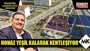 Honaz yeşil kalarak kentleşiyor