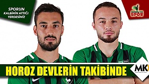 Horoz devlerin takibinde