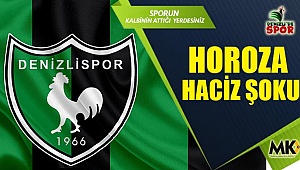 Horoza haciz şoku