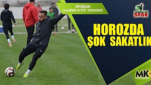 Horozda şok  sakatlık