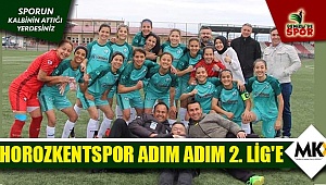 Horozkentspor adım adım 2. Lig'e