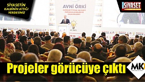 Pamukkale için projeler hazır