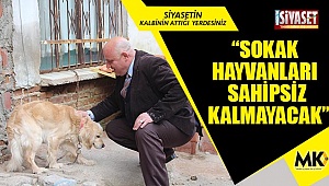 Şevik'ten, sokaktaki dostlara şefkat eli