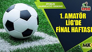 1. Amatör lig'de final haftası