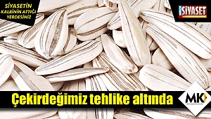 Çekirdeğimiz tehlike altında