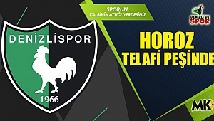 Horoz telafi peşinde