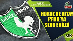 Horoz ve Altay PFDK'ya sevk edildi