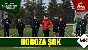 Horoza şok