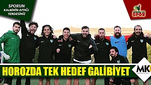Horozda tek hedef galibiyet