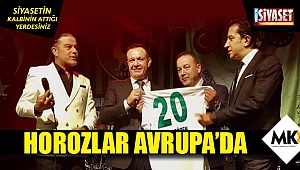 Horozlar Avrupa'da ilki gerçekleştirdi