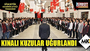 Kınalı kuzular uğurlandı