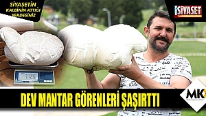 Bağbaşı Yaylası'nda bulunan dev mantar şaşırttı