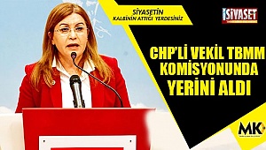 CHP’li Karaca’ya önemli görev