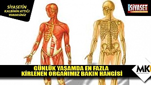 Günlük yaşamda en fazla kirlenen organımız bakın hangisi