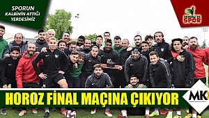 Horoz final maçına çıkıyor