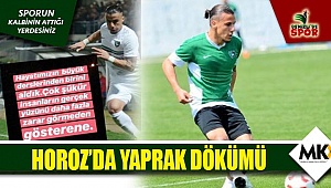 Horoz, Kerem Can Akyüz'le anlaşamadı